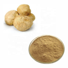 In stock 100% pure natural hericium erinaceus mushroom extract powder